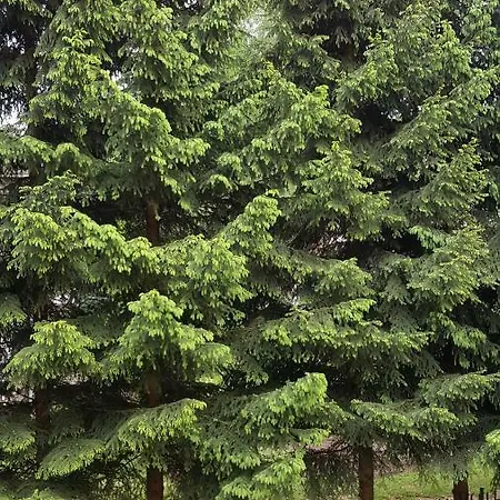 Feriehus Rodzinny Z Ogrodem - Blizej Zdroju