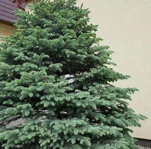 Feriehus Rodzinny Z Ogrodem - Blizej Zdroju