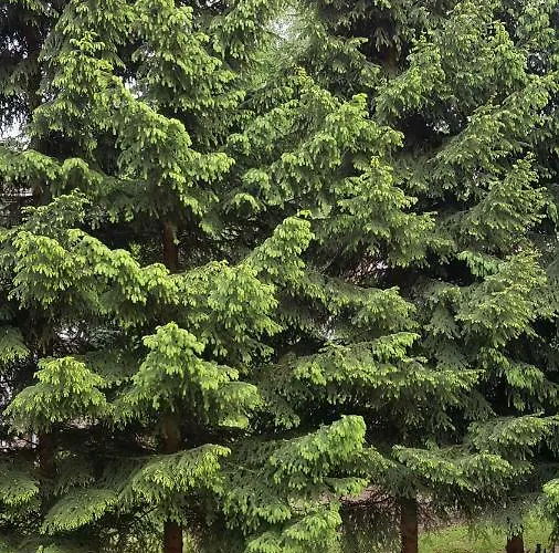 Feriehus Rodzinny Z Ogrodem - Blizej Zdroju